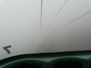 Most of the skyrail yielded impressive views, but we did get stuck in a bank of mist at one point!
